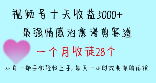 十天收益5000+，多平台捞金，视频号情感治愈漫剪，一个月收徒28个，小白一部手机轻松上手【揭秘】_中创网,自媒体短视频教学_网创项目_网络创业无忧资源网