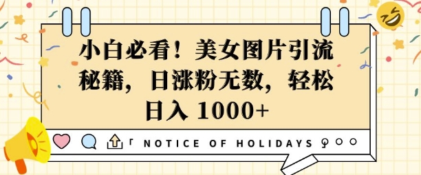 小白必看，美女图片引流秘籍，日涨粉无数，轻松日入几张【揭秘】_中创网,自媒体短视频教学_网创项目_网络创业无忧资源网