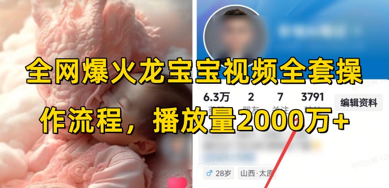全网爆火龙宝宝视频全套操作流程，播放量2000万+_中创网,自媒体短视频教学_网创项目_网络创业无忧资源网