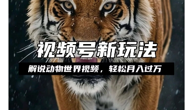 利用动物世界解说视频，赚分成计划收益，轻松月入过W，操作简单【揭秘】_中创网,自媒体短视频教学_网创项目_网络创业无忧资源网