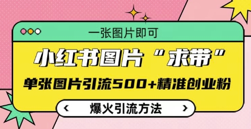 小红书图片‘求带’爆火引流法，单张图片引流500+精准创业粉【揭秘】_中创网,自媒体短视频教学_网创项目_网络创业无忧资源网
