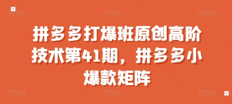 拼多多打爆班原创高阶技术第41期，拼多多小爆款矩阵_中创网,自媒体短视频教学_网创项目_网络创业无忧资源网