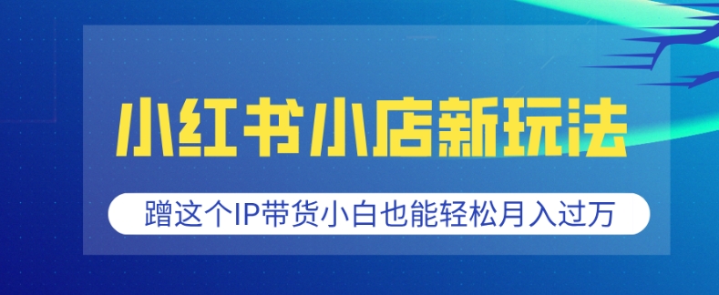 小红书小店新玩法，蹭这个IP带货，小白也能轻松月入过W【揭秘】_中创网,自媒体短视频教学_网创项目_网络创业无忧资源网