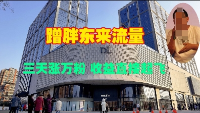 蹭胖东来流量，三天涨万粉，收益直接起飞_中创网,自媒体短视频教学_网创项目_网络创业无忧资源网