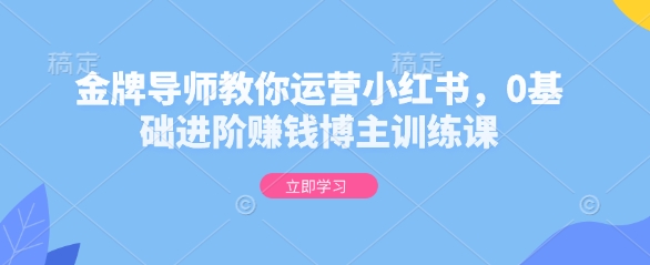 金牌导师教你运营小红书，0基础进阶赚钱博主训练课_中创网,自媒体短视频教学_网创项目_网络创业无忧资源网