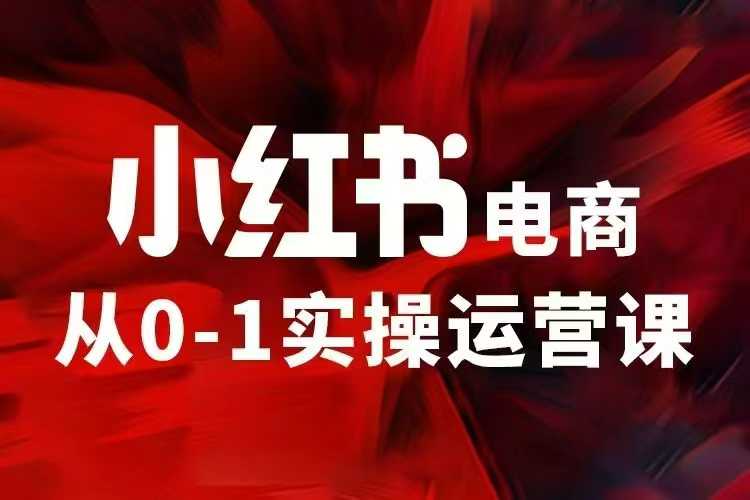 小红书电商运营，97节小红书vip内部课，带你实现小红书赚钱_中创网,自媒体短视频教学_网创项目_网络创业无忧资源网