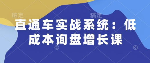 直通车实战系统：低成本询盘增长课，让个人通过技能实现升职加薪，让企业低成本获客，订单源源不断_中创网,自媒体短视频教学_网创项目_网络创业无忧资源网