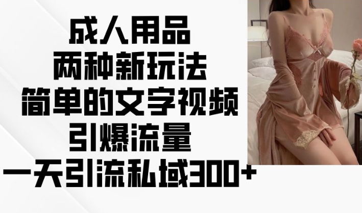 成人用品两种新玩法，简单的文字视频引爆流量，一天引流私域300+_中创网,自媒体短视频教学_网创项目_网络创业无忧资源网