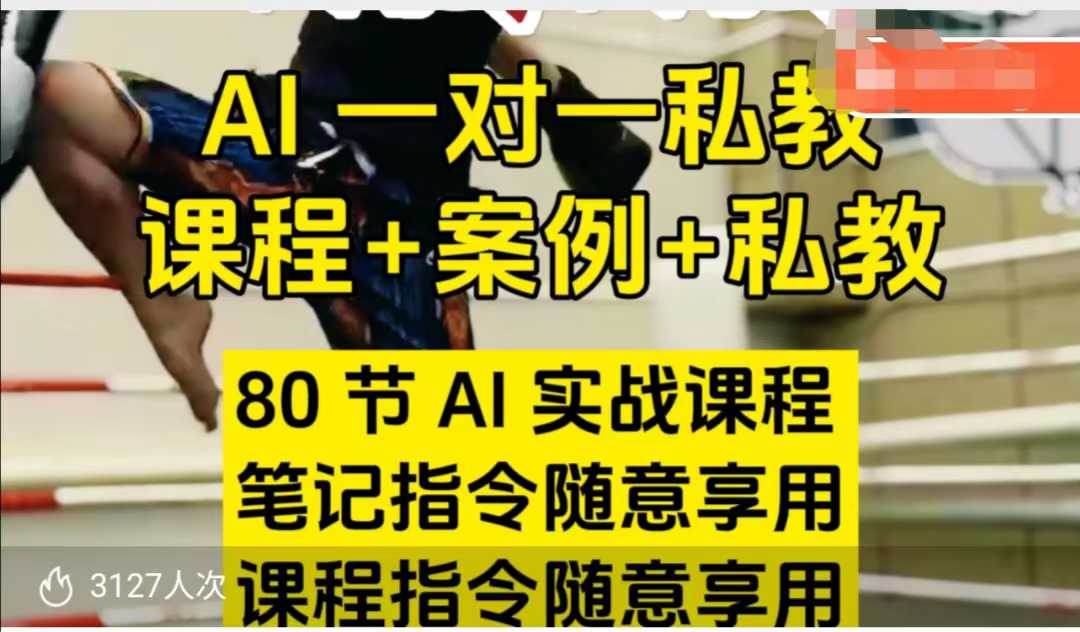 AI指令实战课，课程+案例，80节AI实战课程，笔记指令随意享用，课程指令随意享用_中创网,自媒体短视频教学_网创项目_网络创业无忧资源网