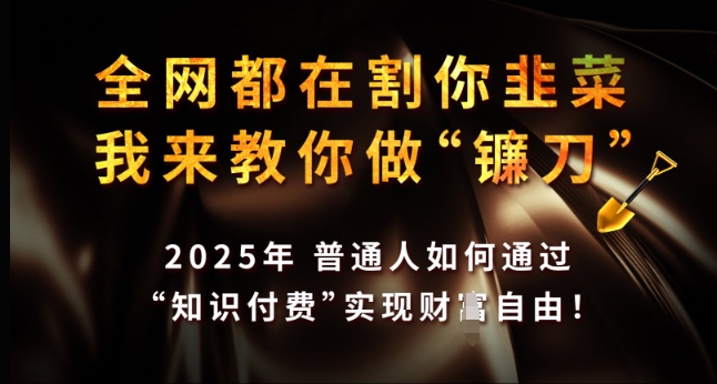 全网都在割你韭菜，我来教你做镰刀，2025年普通人如何通过 知识付费 实现财F自由【揭秘】_中创网,自媒体短视频教学_网创项目_网络创业无忧资源网
