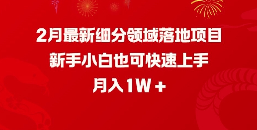 2月最新细分领域落地项目，新手小白也可快速上手，月入1W_中创网,自媒体短视频教学_网创项目_网络创业无忧资源网