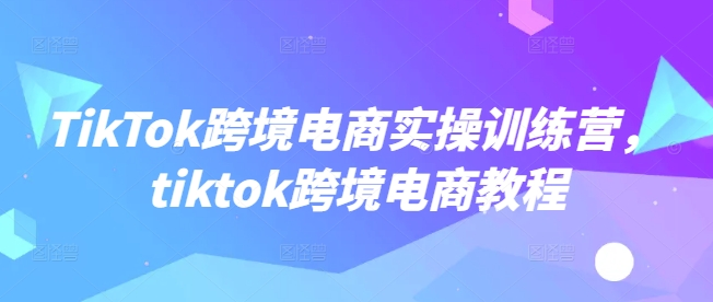 TikTok跨境电商实操训练营，tiktok跨境电商教程_中创网,自媒体短视频教学_网创项目_网络创业无忧资源网