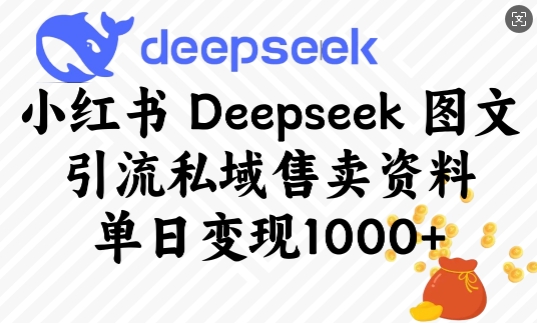 小红书Deepseek图文引流私域售卖资料，单日变现多张_中创网,自媒体短视频教学_网创项目_网络创业无忧资源网