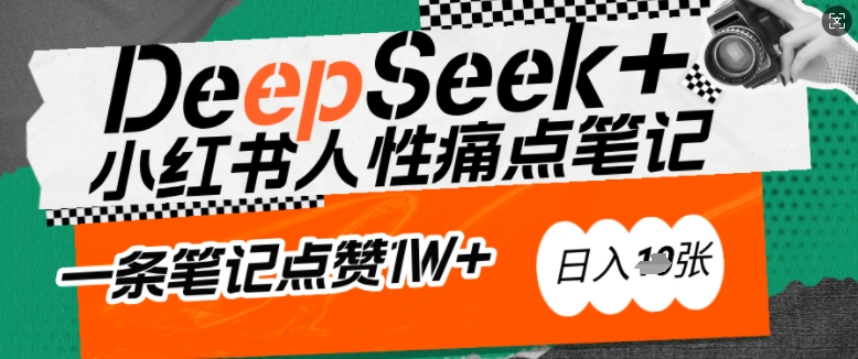 AI赋能小红书爆款秘籍：用DeepSeek轻松抓人性痛点，小白也能写出点赞破万的吸金笔记，日入多张_中创网,自媒体短视频教学_网创项目_网络创业无忧资源网