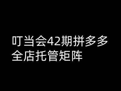 叮当会拼多多打爆班原创高阶技术第42期，拼多多全店托管矩阵_中创网,自媒体短视频教学_网创项目_网络创业无忧资源网