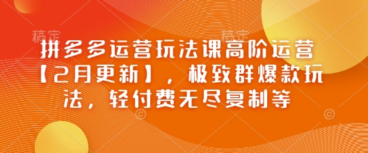 拼多多运营玩法课高阶运营【2月更新】，极致群爆款玩法，轻付费无尽复制等_中创网,自媒体短视频教学_网创项目_网络创业无忧资源网