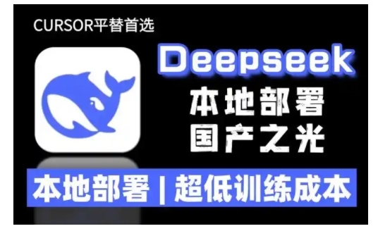 2025年deepseek R1 大型模型本地安装部署(文件+教程)本地部署，超低训练成本_中创网,自媒体短视频教学_网创项目_网络创业无忧资源网