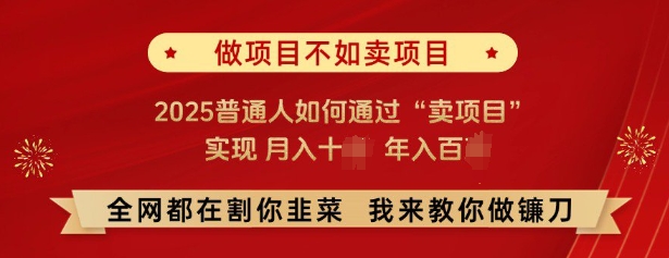 必看，做项目不如卖项目，2025普通人如何通过“卖项目”实现月入十个，年入百个_中创网,自媒体短视频教学_网创项目_网络创业无忧资源网