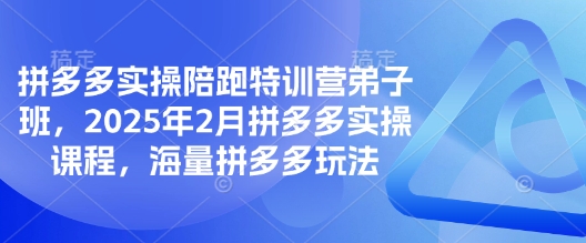 拼多多实操陪跑特训营弟子班，2025年2月拼多多实操课程，海量拼多多玩法_中创网,自媒体短视频教学_网创项目_网络创业无忧资源网