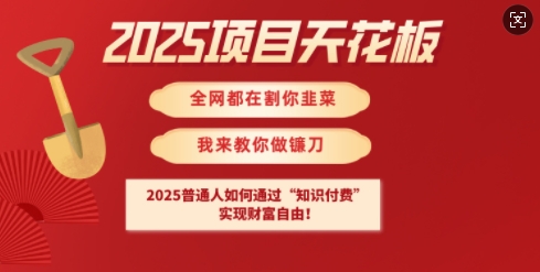 2025项目天花板普通人如何通过知识付费，实现财F自由【揭秘】_中创网,自媒体短视频教学_网创项目_网络创业无忧资源网