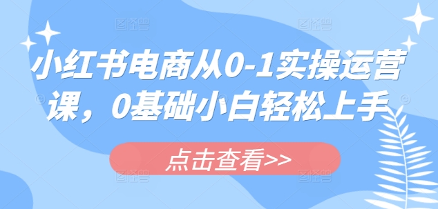 小红书电商从0-1实操运营课，0基础小白轻松上手_中创网,自媒体短视频教学_网创项目_网络创业无忧资源网