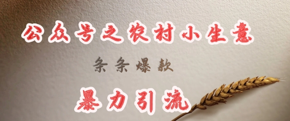deepseek写农村小项目，条条爆款，暴力引流_中创网,自媒体短视频教学_网创项目_网络创业无忧资源网