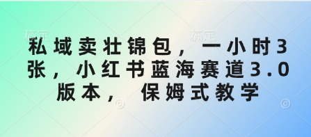 私域卖壮锦包，一小时3张，小红书蓝海赛道3.0版本， 保姆式教学_中创网,自媒体短视频教学_网创项目_网络创业无忧资源网
