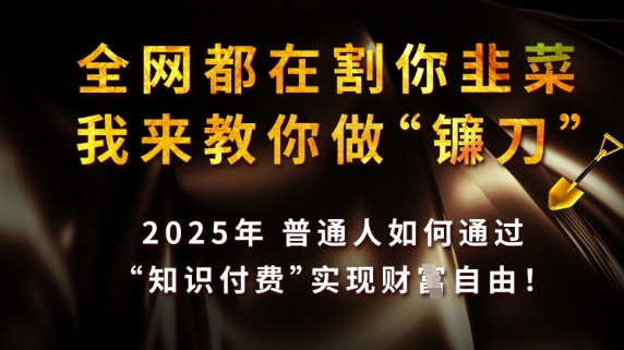 全网都在割你韭菜，我来教你做镰刀，2025普通人如何通过知识付费，实现财F自由【揭秘】_中创网,自媒体短视频教学_网创项目_网络创业无忧资源网
