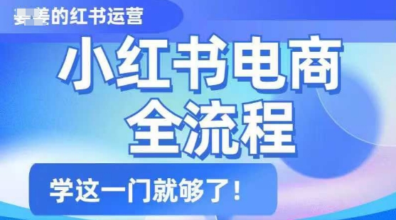 小红书电商全流程，精简易懂，从入门到精通，学这一门就够了_中创网,自媒体短视频教学_网创项目_网络创业无忧资源网