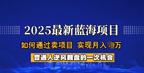 2025蓝海项目，普通人如何通过卖项目，实现月入过W，全过程【揭秘】_中创网,自媒体短视频教学_网创项目_网络创业无忧资源网