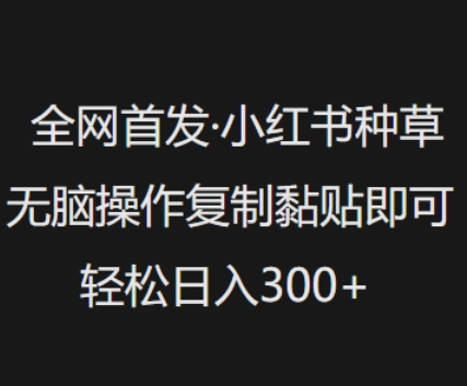 全网首发，小红书种草无脑操作，复制黏贴即可，轻松日入3张_中创网,自媒体短视频教学_网创项目_网络创业无忧资源网