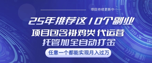 25年推荐这10个副业项目包含褂鸡类、代运营托管类、全自动打金类【揭秘】_中创网,自媒体短视频教学_网创项目_网络创业无忧资源网