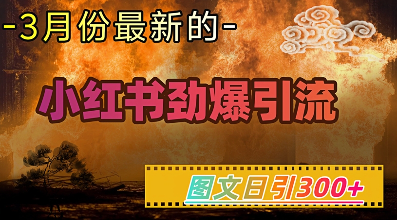 小红书超劲爆引流手段，图文日引300+轻松变现1W_中创网,自媒体短视频教学_网创项目_网络创业无忧资源网