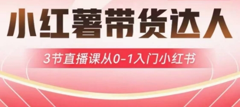 小红薯达人带货启航计划，3节直播课从0-1入门小红书_中创网,自媒体短视频教学_网创项目_网络创业无忧资源网