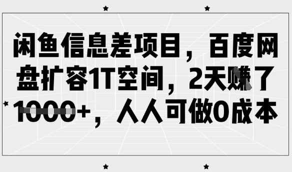 闲鱼信息差项目，百度网盘扩容1T空间，2天收益1k+，人人可做0成本_中创网,自媒体短视频教学_网创项目_网络创业无忧资源网