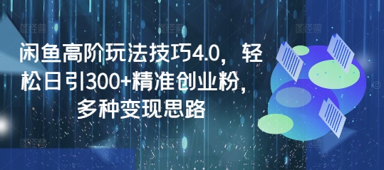 闲鱼高阶玩法技巧4.0，轻松日引300+精准创业粉，多种变现思路_中创网,自媒体短视频教学_网创项目_网络创业无忧资源网