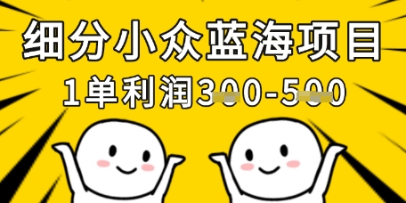 细分小众蓝海项目，一单利润3张，每月收入稳定过1w+_中创网,自媒体短视频教学_网创项目_网络创业无忧资源网