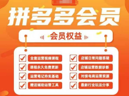 2025拼多多运营实战课，40节全流程教学，覆盖拼多多运营全链路_中创网,自媒体短视频教学_网创项目_网络创业无忧资源网