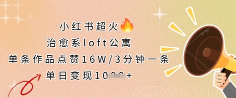 小红书超火的治愈系loft公寓，单条作品点赞16W，3分钟一条，单日变现数张_中创网,自媒体短视频教学_网创项目_网络创业无忧资源网