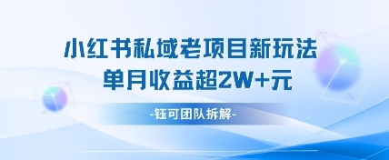 小红书私域项目新玩法，单月变现过W+_中创网,自媒体短视频教学_网创项目_网络创业无忧资源网
