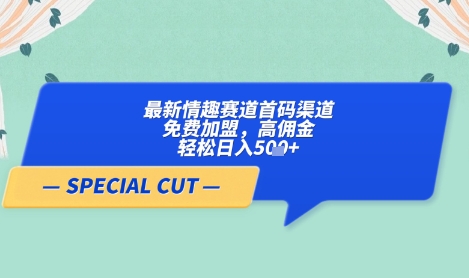 【轻云】最新情趣赛道首码渠道，免费加盟，高佣金，轻松日入5张+_中创网,自媒体短视频教学_网创项目_网络创业无忧资源网