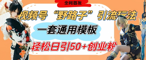 视频号“野路子”玩法，评论区疯狂截流，一套模板单日单号引流50+创业粉_中创网,自媒体短视频教学_网创项目_网络创业无忧资源网