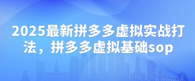 2025最新拼多多虚拟实战打法，拼多多虚拟基础sop_中创网,自媒体短视频教学_网创项目_网络创业无忧资源网
