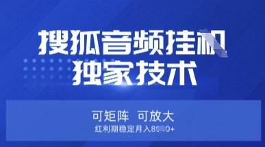 【搜狐音频挂G】独家技术，可矩阵可放大，红利期稳定月入8k【揭秘】_中创网,自媒体短视频教学_网创项目_网络创业无忧资源网