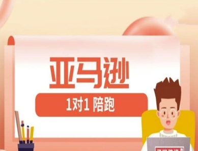 亚马逊1对1陪跑课(FBA/FBM精铺)跨境亚马逊教程_中创网,自媒体短视频教学_网创项目_网络创业无忧资源网