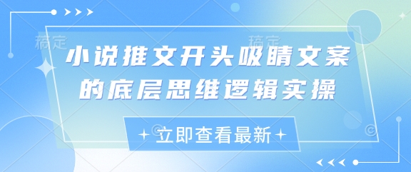 小说推文开头吸睛文案的底层思维逻辑实操_中创网,自媒体短视频教学_网创项目_网络创业无忧资源网