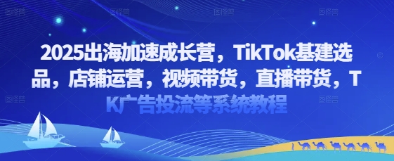 2025出海加速成长营，TikTok基建选品，店铺运营，视频带货，直播带货，TK广告投流等系统教程_中创网,自媒体短视频教学_网创项目_网络创业无忧资源网