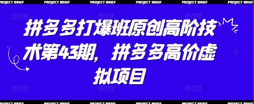 拼多多打爆班原创高阶技术第43期，拼多多高价虚拟项目_中创网,自媒体短视频教学_网创项目_网络创业无忧资源网