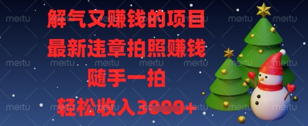 解气又挣钱的项目，最新违章拍照挣钱，随手一拍，轻松收入数张【揭秘】_中创网,自媒体短视频教学_网创项目_网络创业无忧资源网
