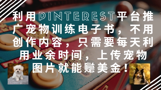 利用Pinterest平台推广宠物训练电子书，不用创作内容，只需要每天利用业余时间，上传宠物图片就能挣美金!_中创网,自媒体短视频教学_网创项目_网络创业无忧资源网